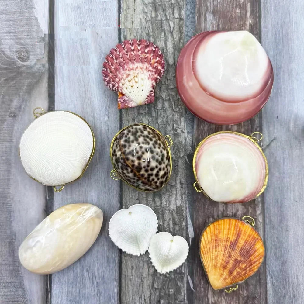 Natural Shell Pendants 50 pcs | Wholesale Craft Charms