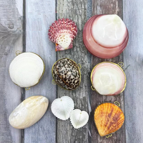 Natural Shell Pendants 50 pcs | Wholesale Craft Charms