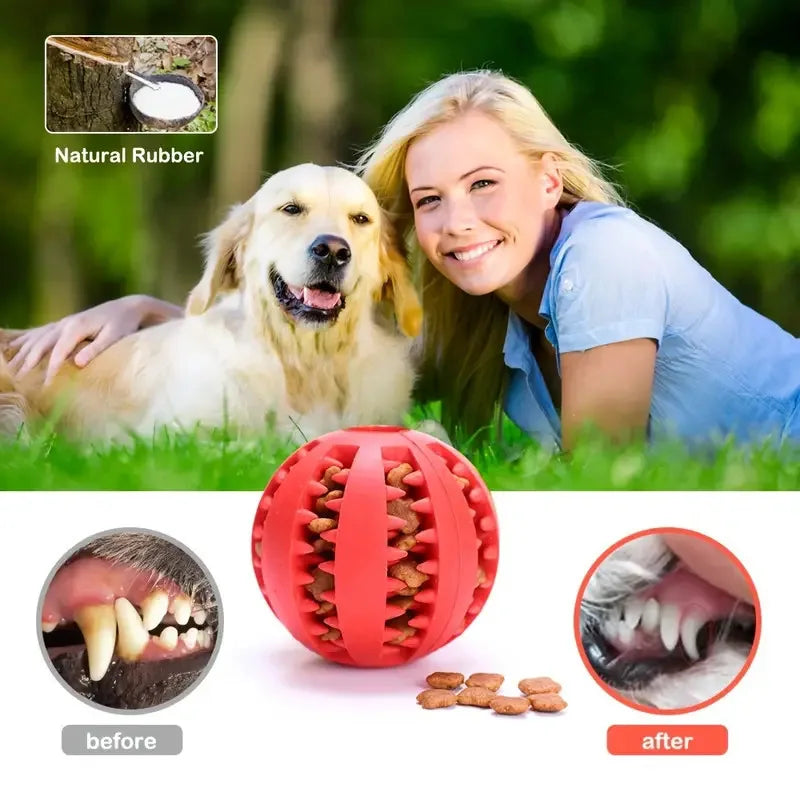 Natural Rubber Dog Toy | Tooth Cleaning, Treat Dispenser | 100 Pcs MOQ