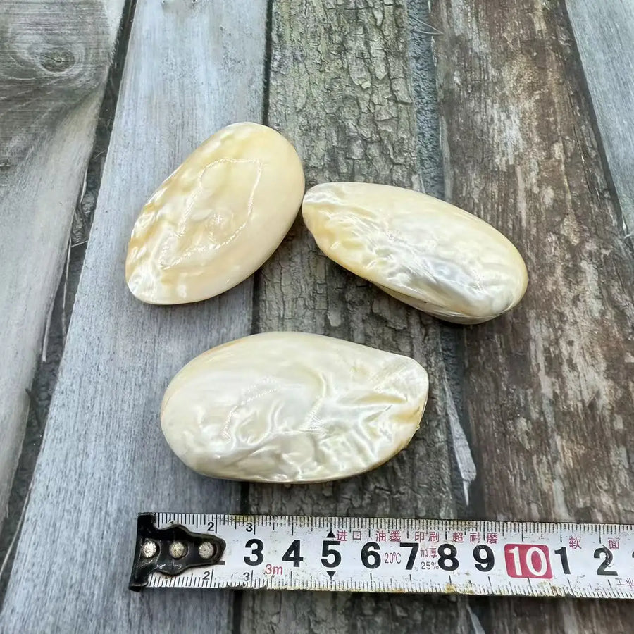 Natural Shell Pendants 50 pcs | Wholesale Craft Charms