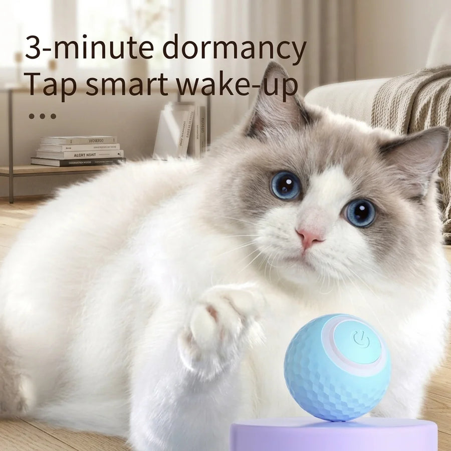 Custom Electric Pet Toy Ball | USB Rechargeable Interactive Toy | Wholesale