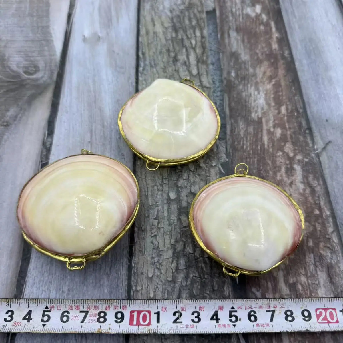 Natural Shell Pendants 50 pcs | Wholesale Craft Charms