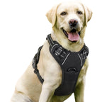 Custom Logo Dog Harness Set Wholesale | Reflective Adjustable No-Pull with BSCI