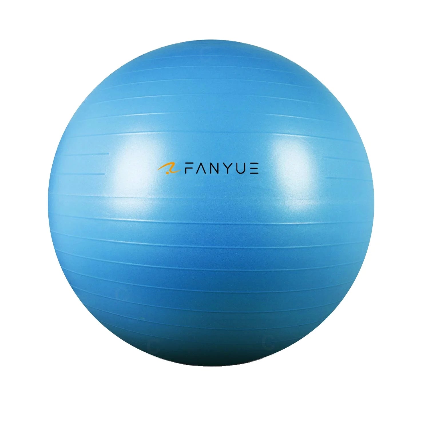 Custom Anti-Burst Exercise Ball | PVC Yoga Ball with Pump | Bulk Fitness Equipment