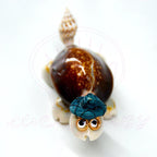 Turtle Shell Crafts 5.5-6cm | Bulk Souvenir MOQ 50