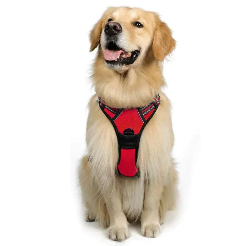 Custom Logo Dog Harness Set Wholesale | Reflective Adjustable No-Pull with BSCI