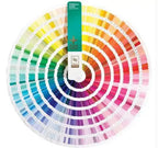 Custom Lanyard & Hard Plastic ID Card Set: PMS Color, Breakaway Clip, Thermal Transfer for Events
