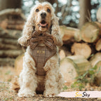 Custom Dog Harness Set with Logo | Low MOQ 20 Pcs