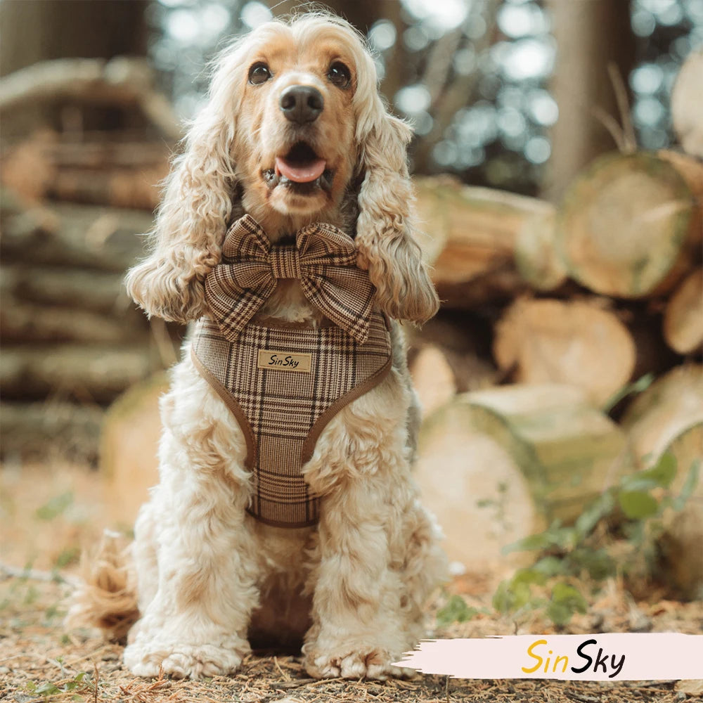 Custom Dog Harness Set with Logo | Low MOQ 20 Pcs