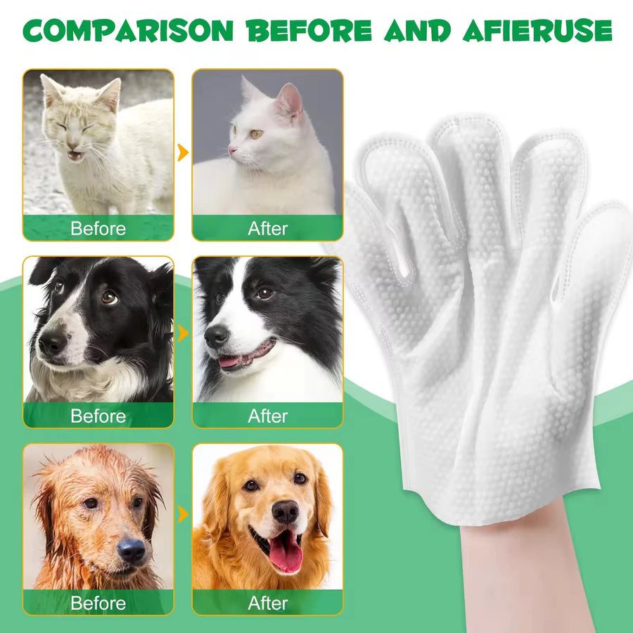 Custom Pet Grooming Wipes | FDA/REACH Certified | MOQ 1