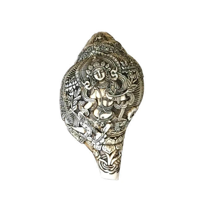 Natural Conch Shells | Buddhist Art Decor | Eco-Friendly