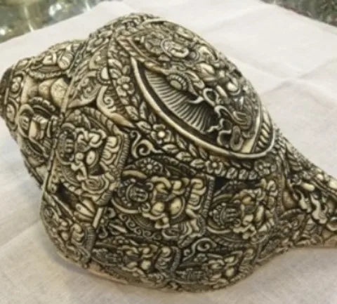 Natural Conch Shells | Buddhist Art Decor | Eco-Friendly