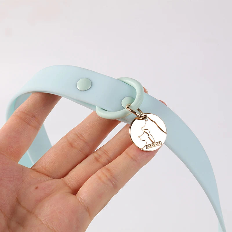 Custom PVC Dog Collar Leash with Logo | MOQ 5 Stock