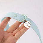 Custom PVC Dog Collar Leash with Logo | MOQ 5 Stock