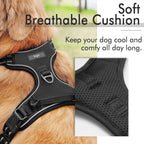 Custom Logo Dog Harness Set Wholesale | Reflective Adjustable No-Pull with BSCI