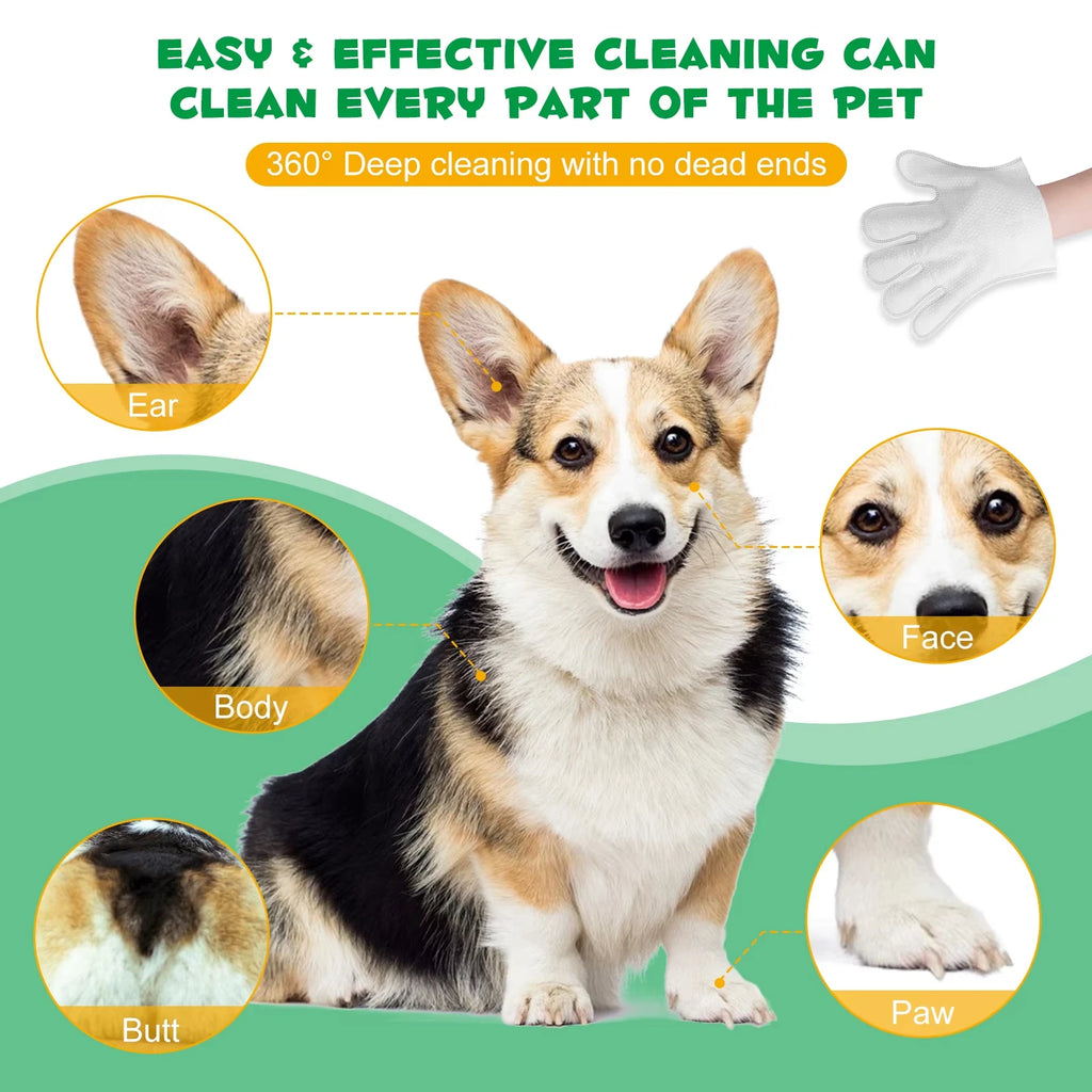 Custom Pet Grooming Wipes | FDA/REACH Certified | MOQ 1