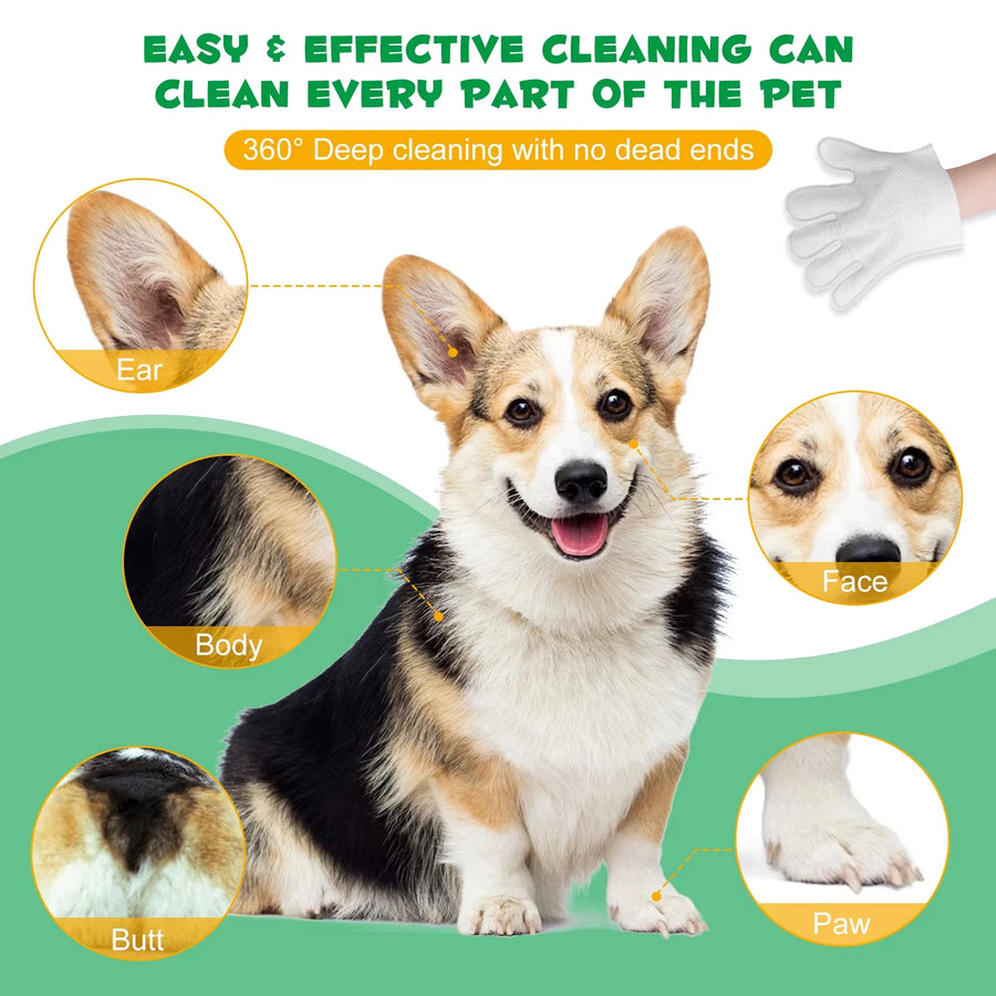 Custom Pet Grooming Wipes | FDA/REACH Certified | MOQ 1
