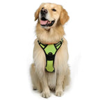 Custom Logo Dog Harness Set Wholesale | Reflective Adjustable No-Pull with BSCI