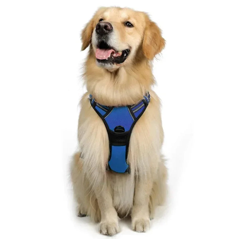 Custom Logo Dog Harness Set Wholesale | Reflective Adjustable No-Pull with BSCI