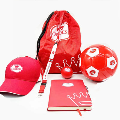 Custom Logo Corporate Gift Set | Bulk Promotional MOQ 100 Sets