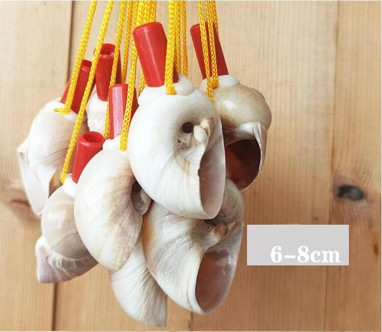 Natural Shell Whistles | Souvenir Gifts | Wholesale Pricing