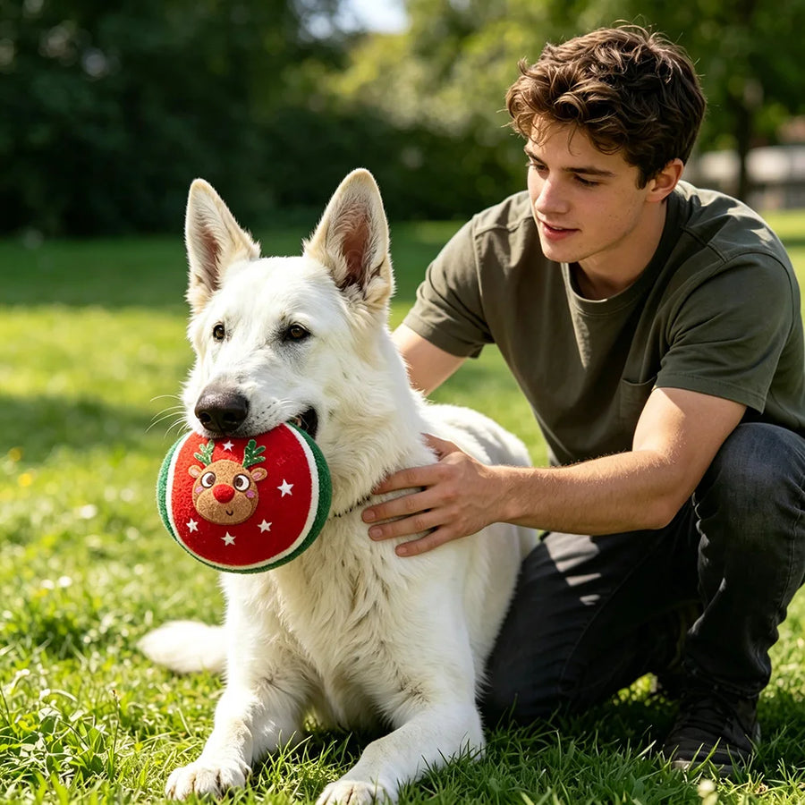 Custom Christmas Dog Toys | 3-Piece Tennis Ball Set | Holiday Pet Gifts