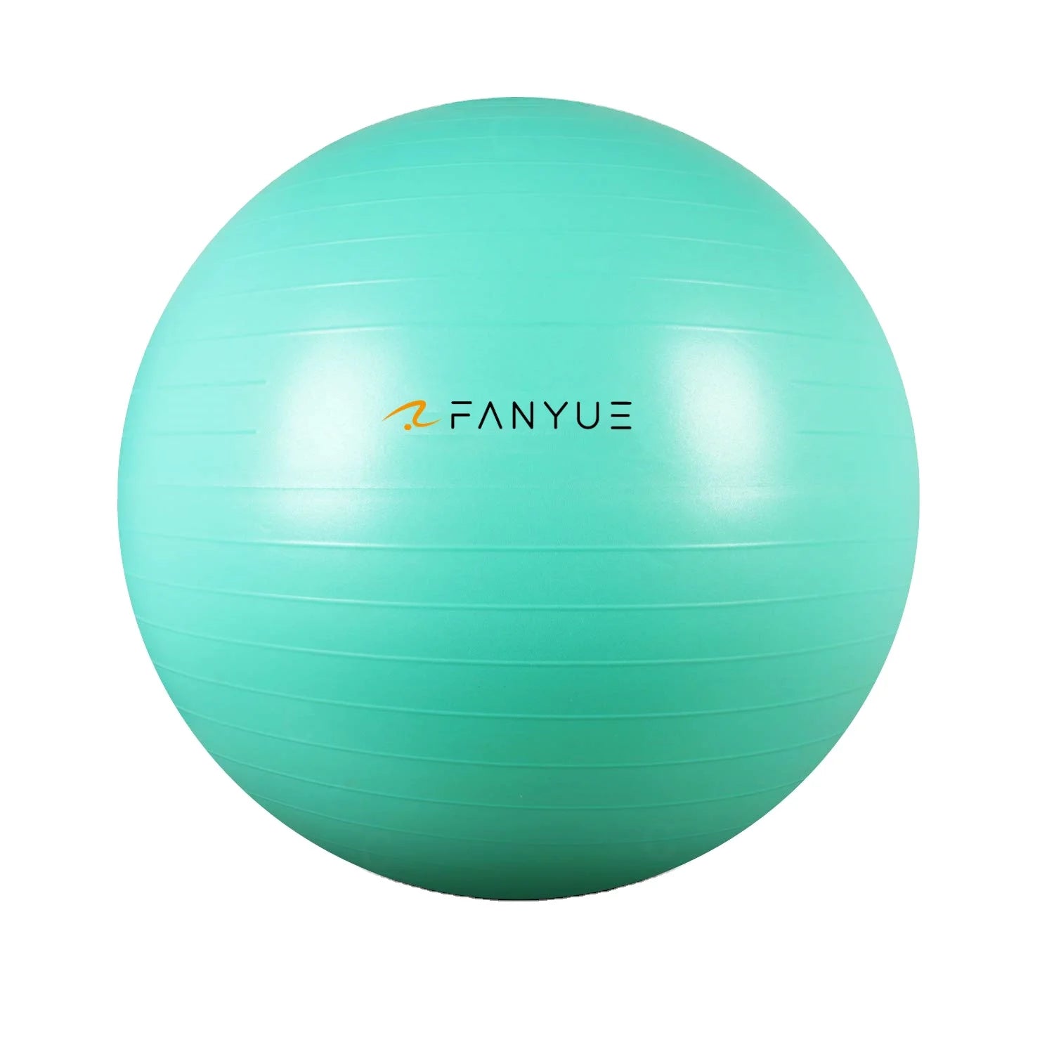 Custom Anti-Burst Exercise Ball | PVC Yoga Ball with Pump | Bulk Fitness Equipment