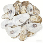 Custom Oyster Shell Crafts: 50 MOQ, 28-Day Lead, Handmade | Eco-Friendly Souvenir & Gift Decor