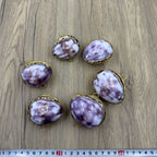 Natural Shell Pendants 50 pcs | Wholesale Craft Charms