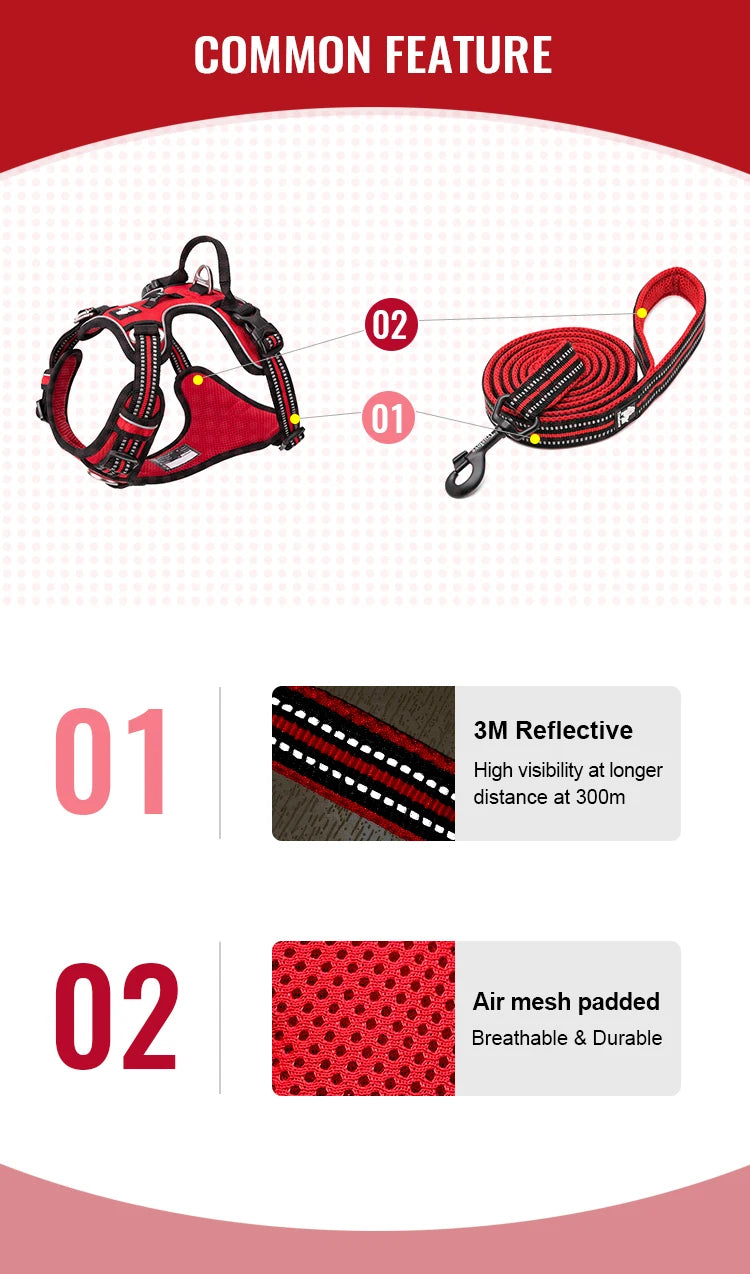 Truelove Pet Harness Set with Logo | 10 MOQ | 7-Day Lead