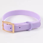 Custom PVC Dog Collar Leash with Logo | MOQ 5 Stock