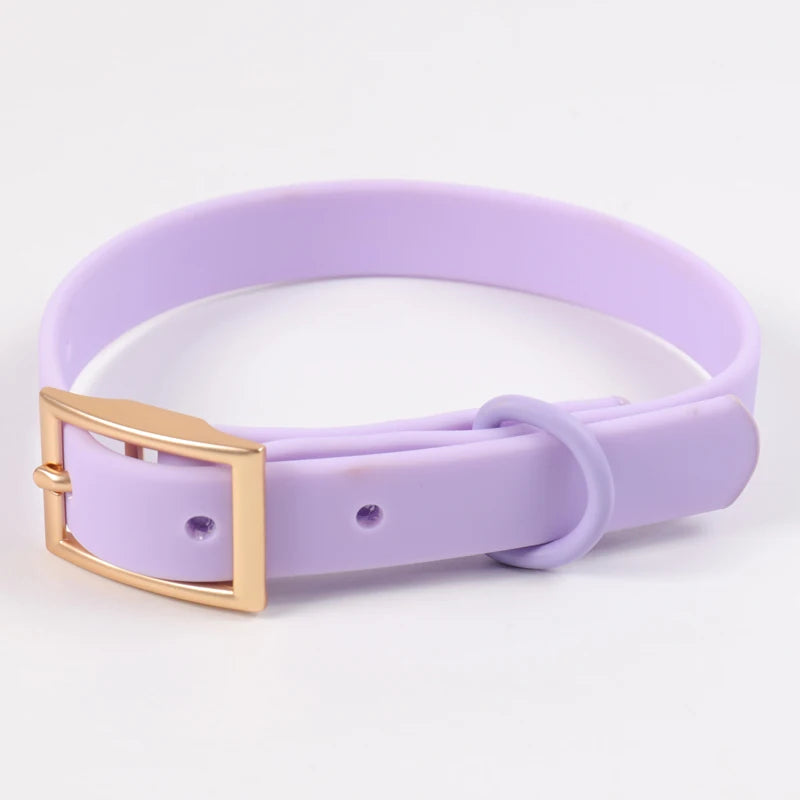 Custom PVC Dog Collar Leash with Logo | MOQ 5 Stock