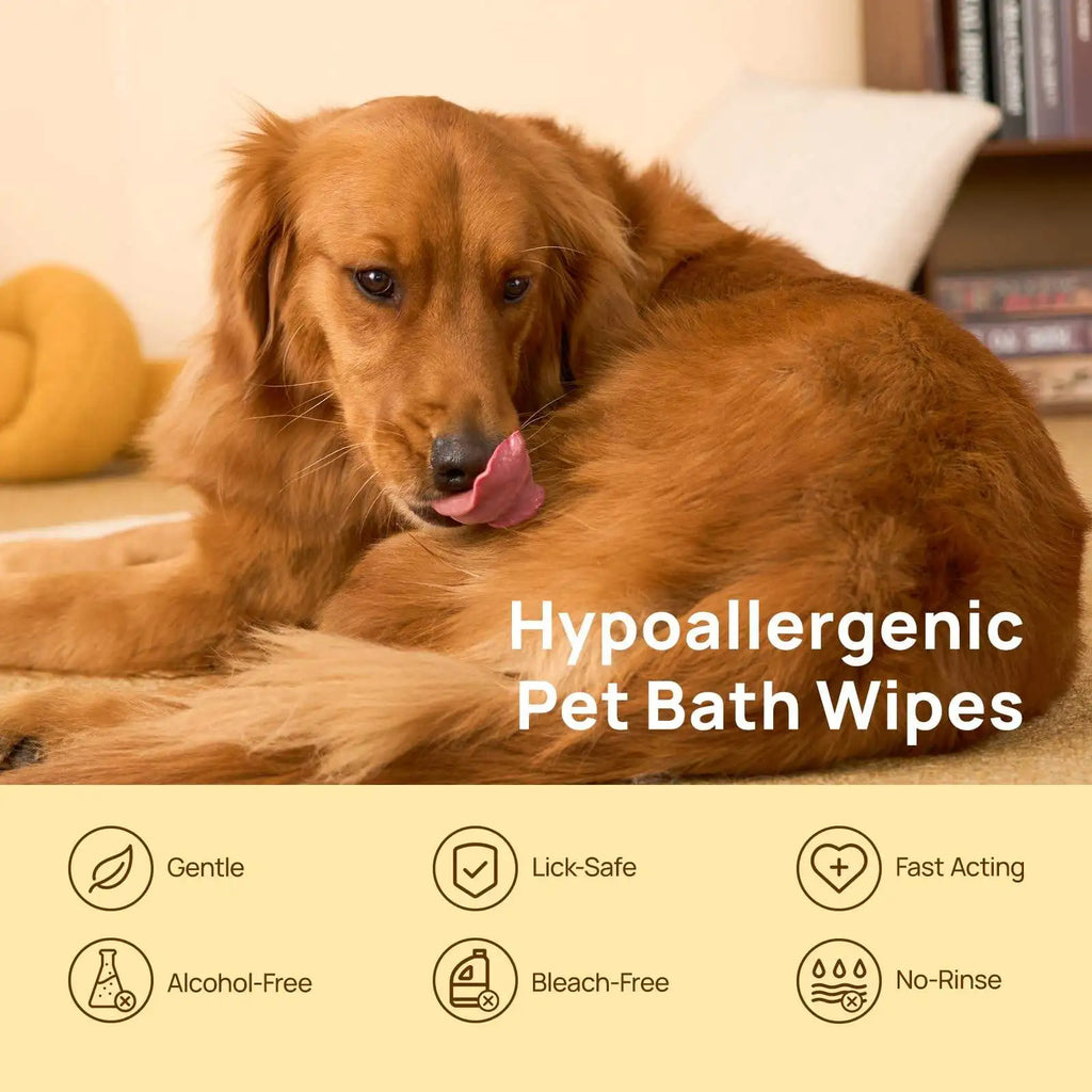 Custom 6-Pack Pet Wipes | Hypoallergenic | Custom Fragrance | MOQ 300