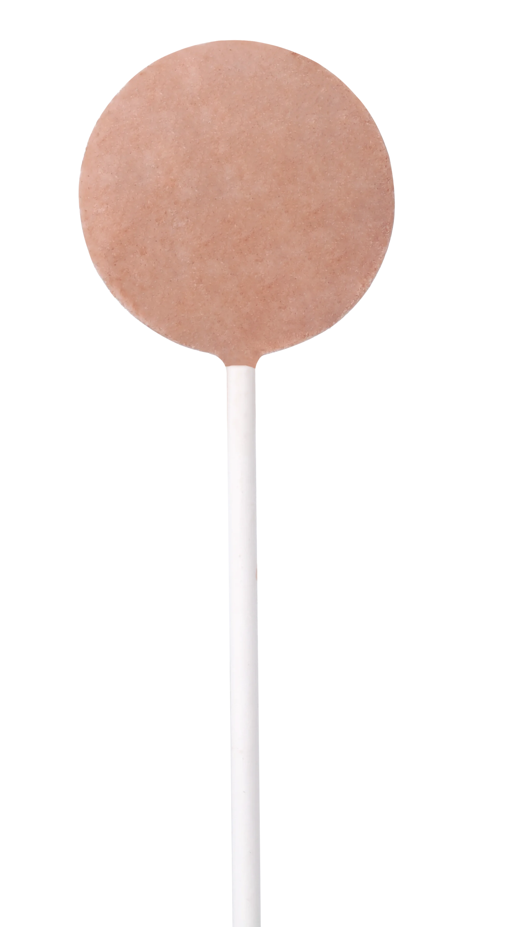 OEM Cat Lollipop Treats Wholesale | ISO FDA Certified Pet Snacks