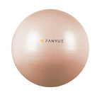 Custom Anti-Burst Exercise Ball | PVC Yoga Ball with Pump | Bulk Fitness Equipment