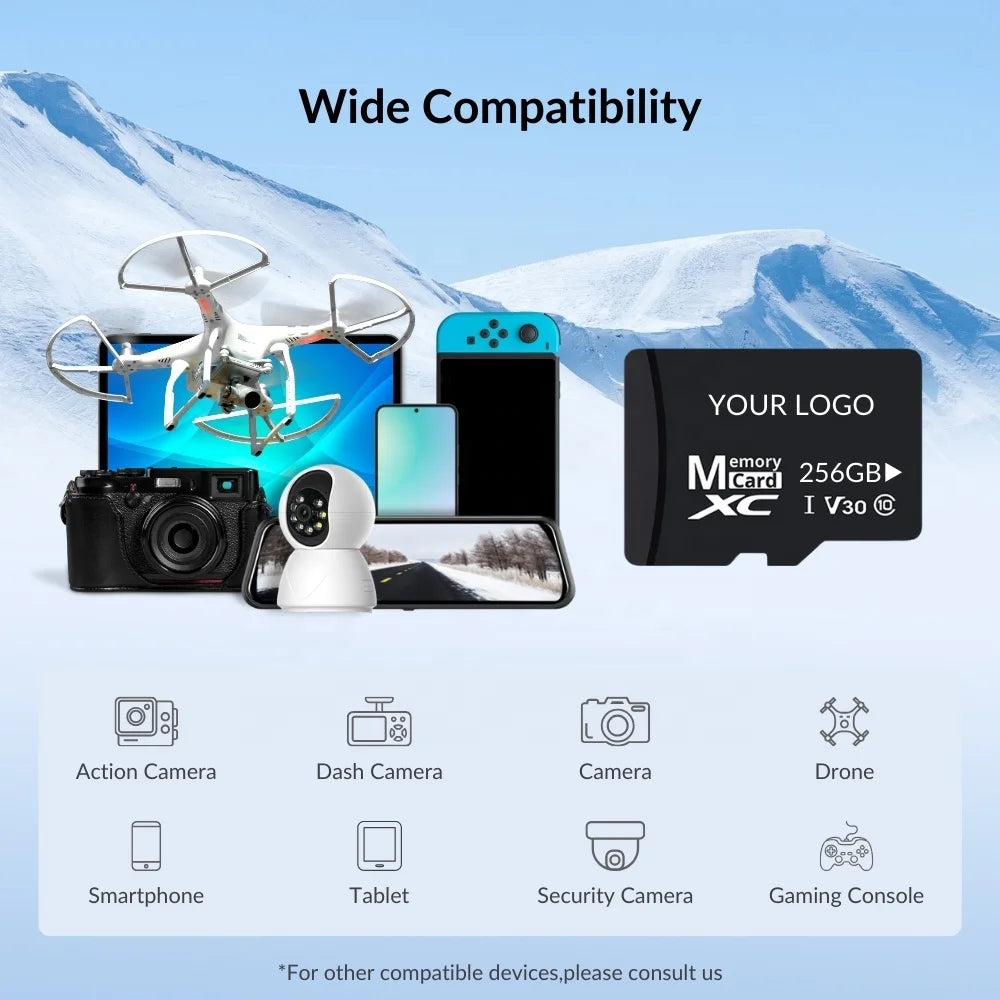 Factory Wholesale TF Card 4GB Custom Logo | High Speed