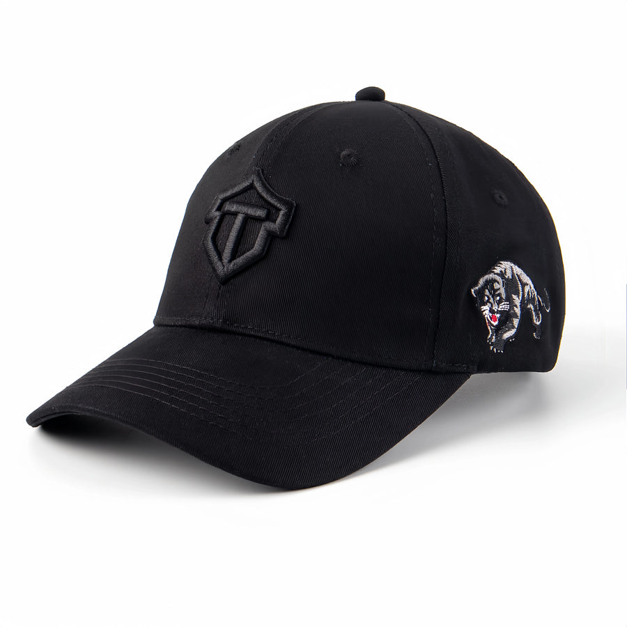 Custom Embroidered Dad Hat Cap | OEM Logo Baseball Cap MOQ 50