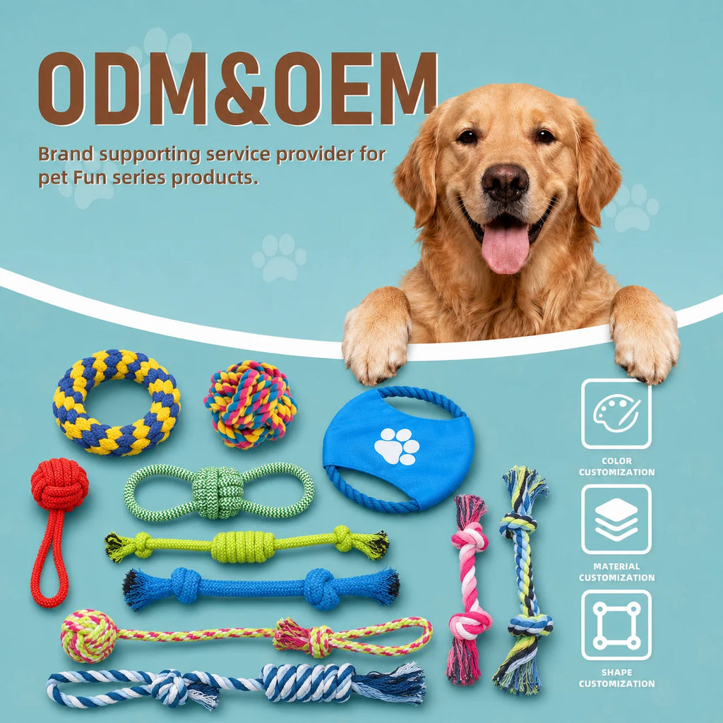 Custom No Stuffing Plush Dog Toy | Reinforced Stitching | OEM ODM Wholesale