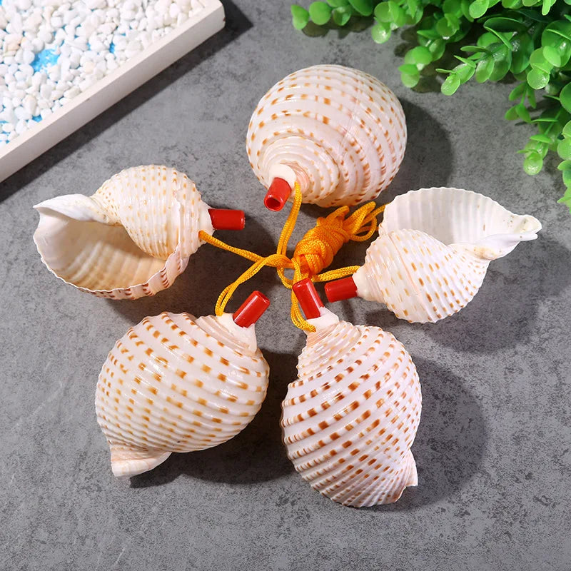 Natural Shell Whistles | Souvenir Gifts | Wholesale Pricing