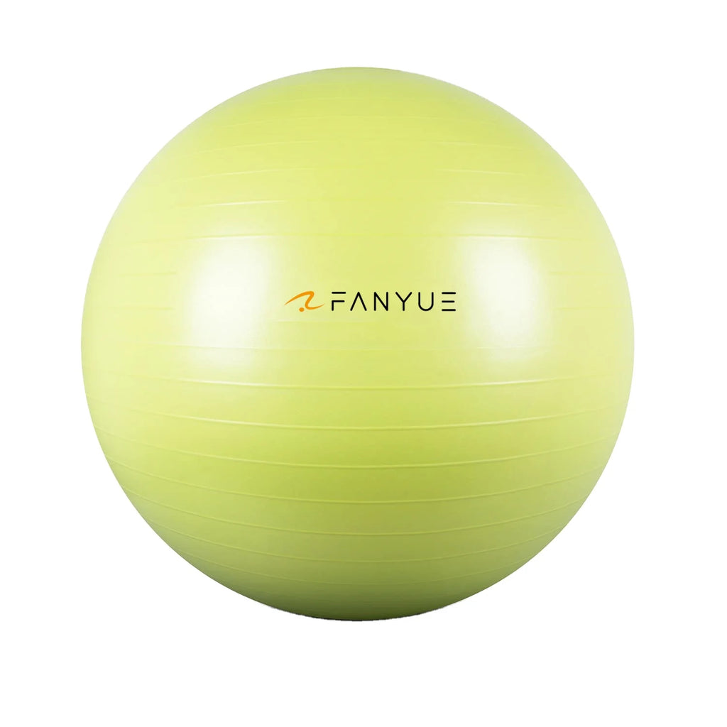 Custom Anti-Burst Exercise Ball | PVC Yoga Ball with Pump | Bulk Fitness Equipment