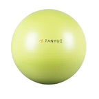 Custom Anti-Burst Exercise Ball | PVC Yoga Ball with Pump | Bulk Fitness Equipment