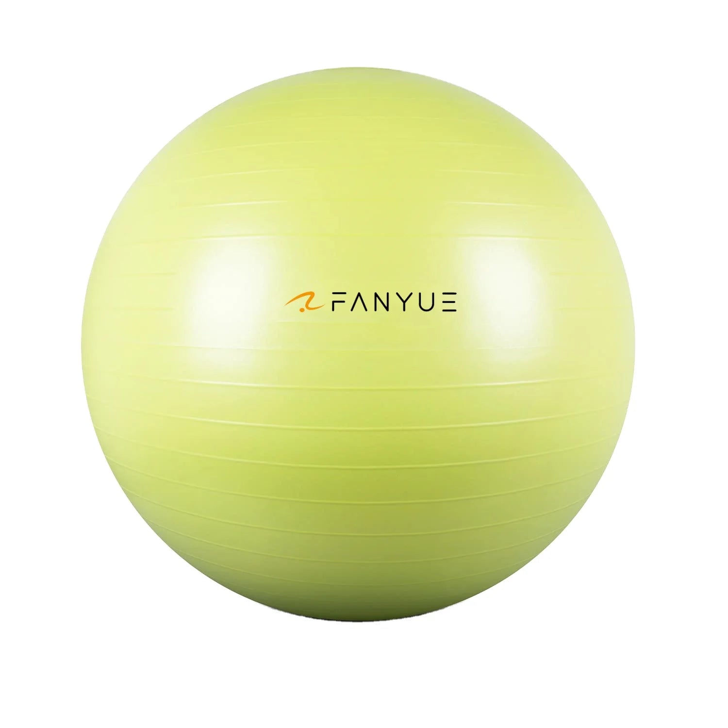 Custom Anti-Burst Exercise Ball | PVC Yoga Ball with Pump | Bulk Fitness Equipment