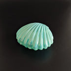 Seashell Favor Boxes | Iridescent Wedding Favors | Personalized