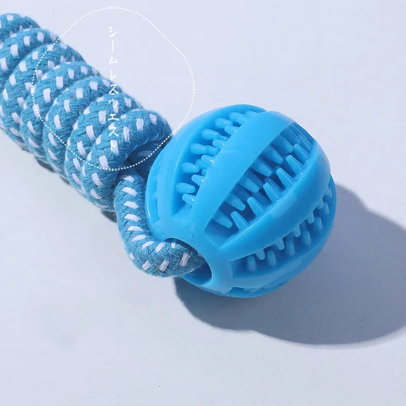 Braided Rope & Rubber Ball Dog Toy | 5 Pcs MOQ | BSCI Certified