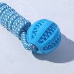 Braided Rope & Rubber Ball Dog Toy | 5 Pcs MOQ | BSCI Certified