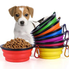 Food-Grade Silicone Foldable Dog Bowl 350ml | BPA-Free Travel Pet Bowl OEM