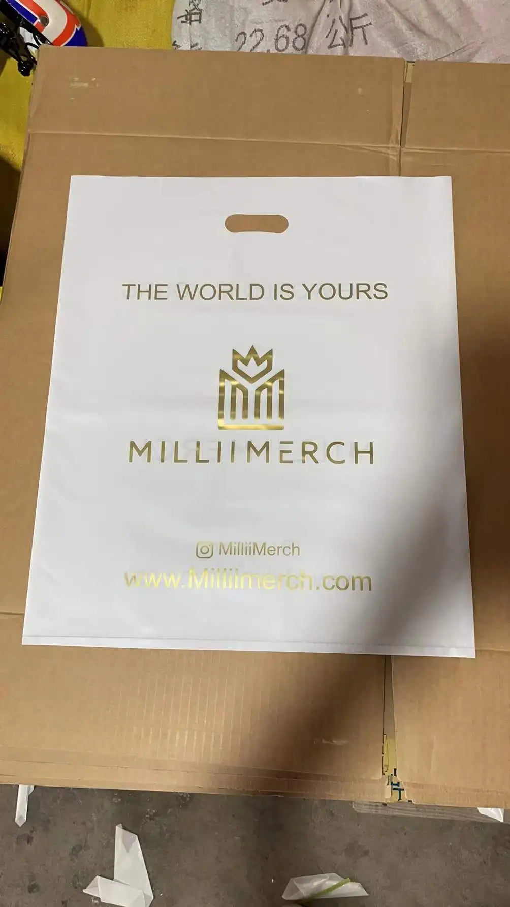 Custom LDPE/HDPE Plastic Shopping Bags with Logo | 200 MOQ Wholesale