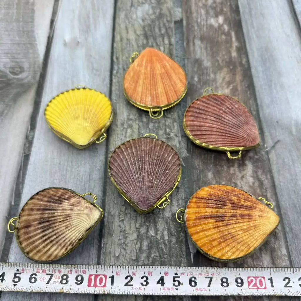 Natural Shell Pendants 50 pcs | Wholesale Craft Charms