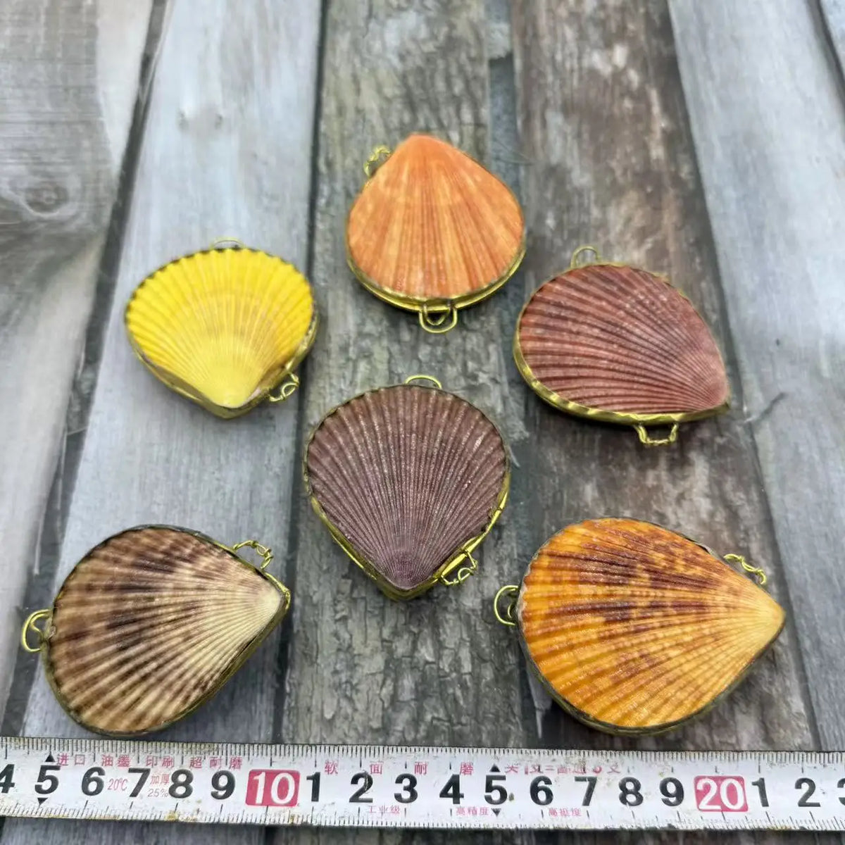 Natural Shell Pendants 50 pcs | Wholesale Craft Charms