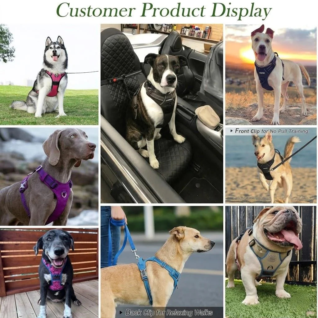 Custom Dog Harness Set | No-Pull Reflective | 20 MOQ | Logo $1.50